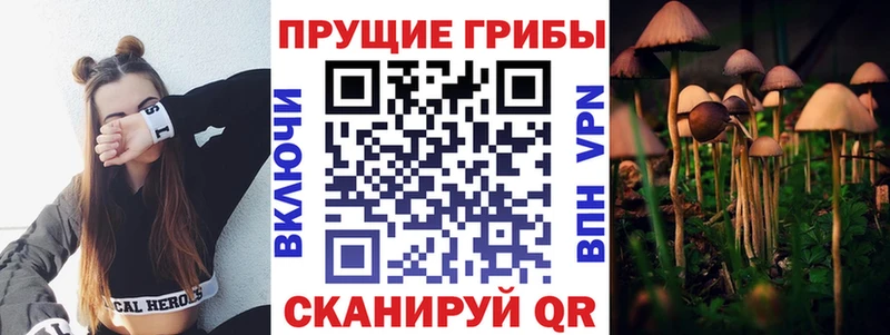 Галлюциногенные грибы GOLDEN TEACHER  ОМГ ОМГ зеркало  Солигалич 