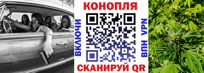 mega зеркало  купить наркотики цена  Солигалич  Бошки Шишки THC 21% 